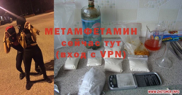 прущие грибы Бронницы