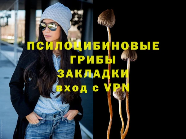дмт Верхний Тагил