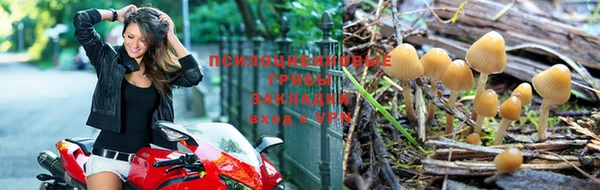 дмт Верхний Тагил