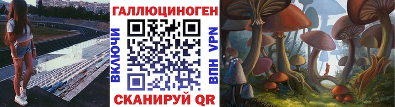 Купить где Мариинск Галлюциногенные грибы Psilocybe